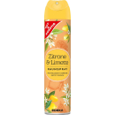 GUT&GÜNSTIG Raumspray Citrus 300,0 ml, 1 St.